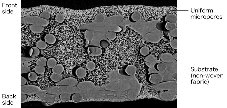 image：Dry phase separation membrane Cross section