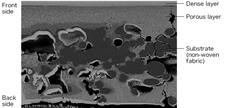 image：Wet phase separation membrane Cross section