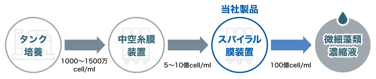 画像：微細藻類濃縮