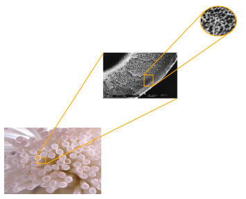 image：Appearance of Hollow Fiber Membrane Filters2